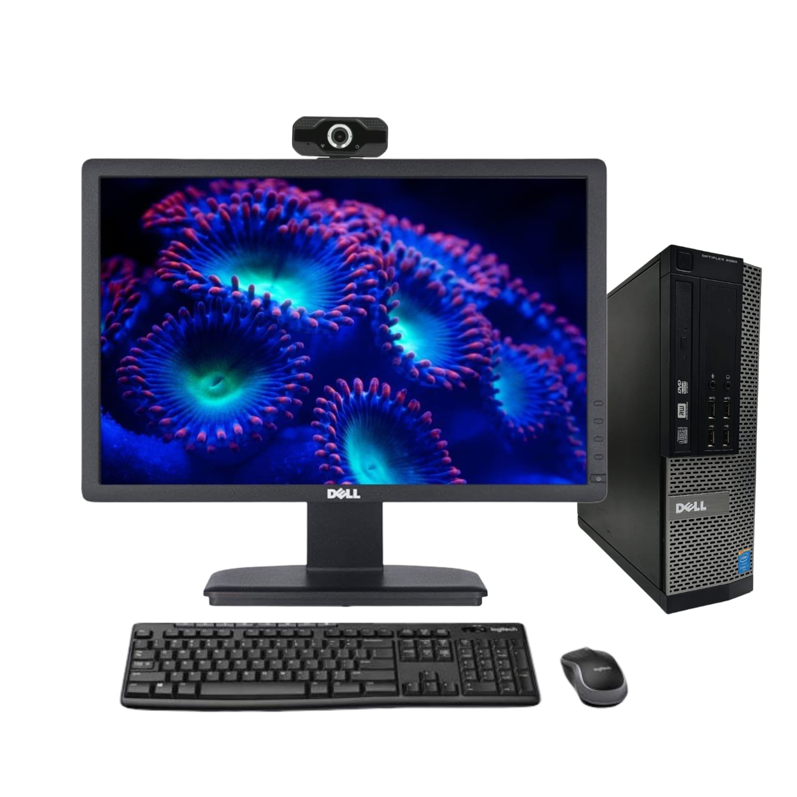 WhatsApp Image 2026-01-30 at 13.51.28