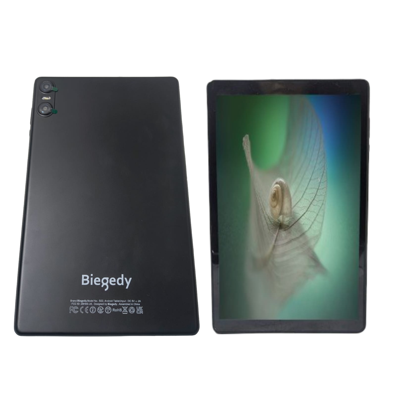 WhatsApp Image 2026-02-18 at 15.38.45